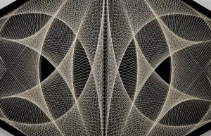 Nexus # 2(y),

