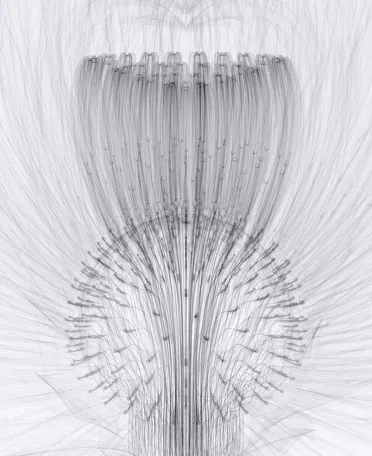             Chrysanthemum-iii-w, 2008, 56x45.7cm, digital c-print          