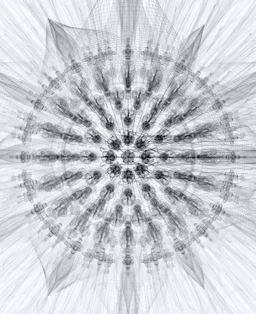             Chrysanthemum-iv-w, 2008, 56x45.7cm, digital c-print          