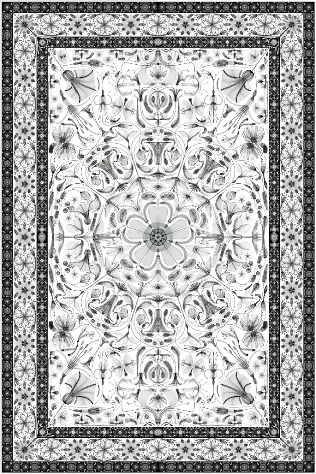             Botech Composition - 1 - w, 2013, 150x100cm, digital c-print          