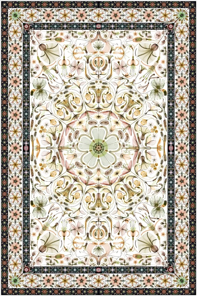             Botech Composition - 1 - wc, 2013, 150x100cm, digital c-print          