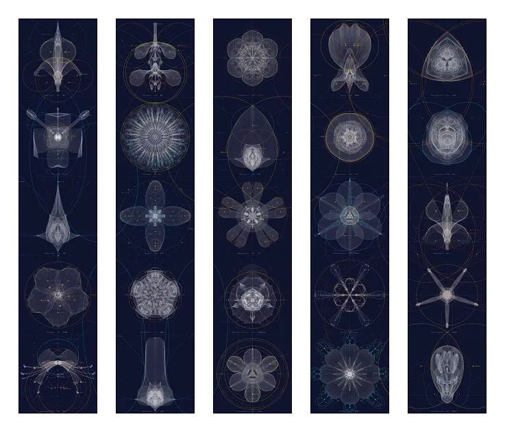             Kosmos-matrix-i-b, 2015, 150x178cm, digital c-print / diasec framing          