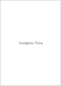   Inorganic Flora Creation Process, 2016, Portfolio PDF