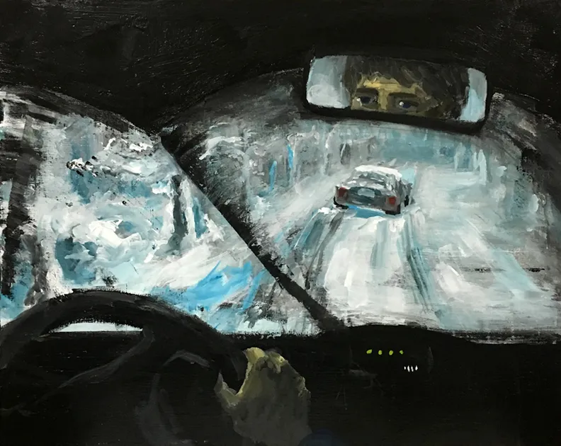             Wiper, 2016, 72.7x91x3cm, acrylic on canvas          